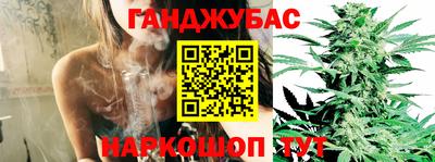 шишки Волжск