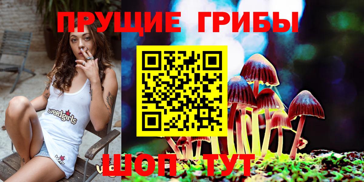 Дмитров  Псилоцибиновые грибы ЛСД  Вход с VPN  Псилоцибиновые грибы Psilocybine cubensis 